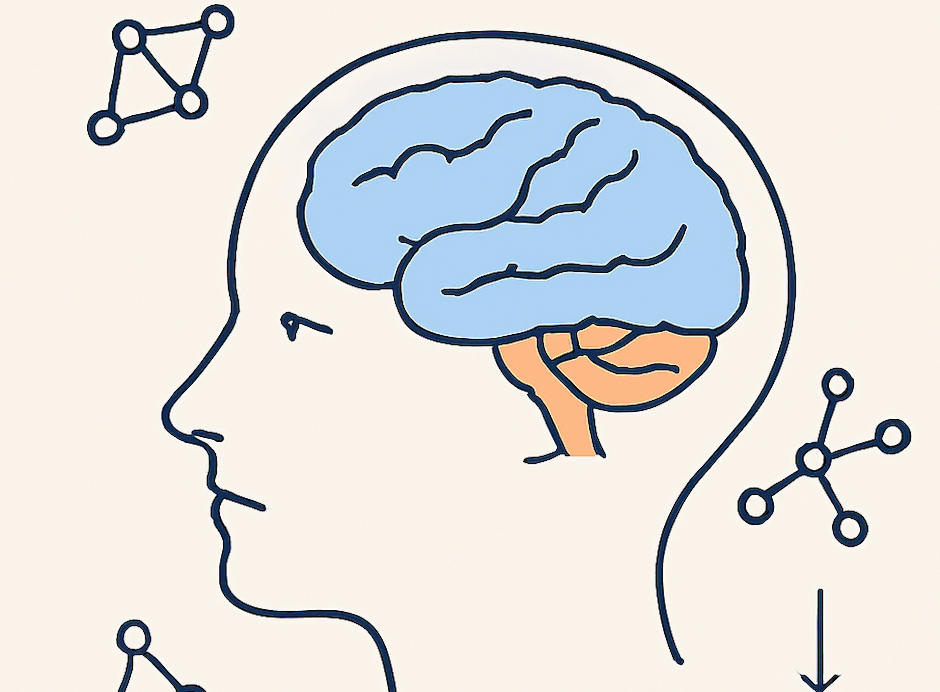 Sawir muujinaya neerfayaasha maskaxda iyo habka xogtu u dhex marto